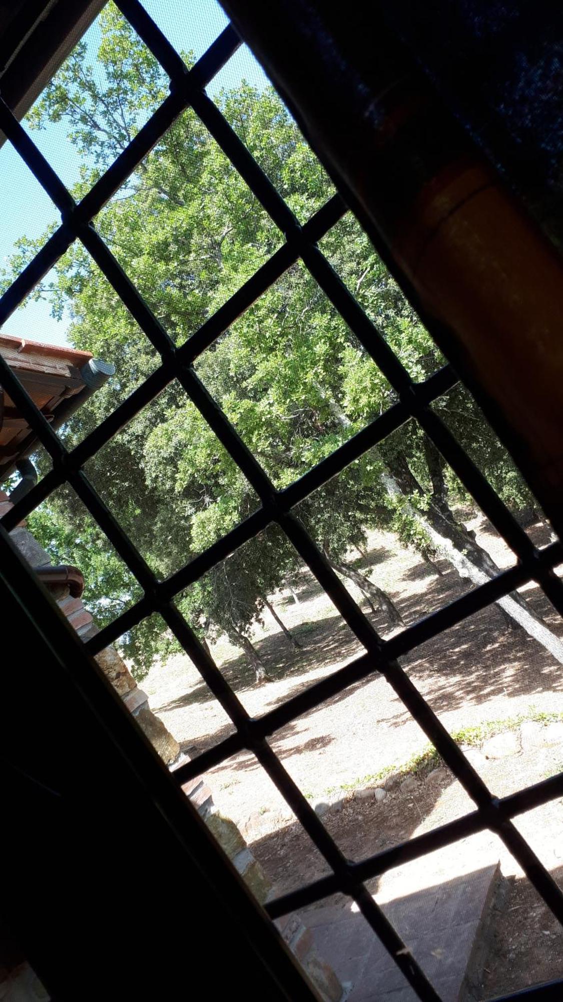 Agriturismo Podere San Lorenzo 1866 马萨马里蒂马 外观 照片
