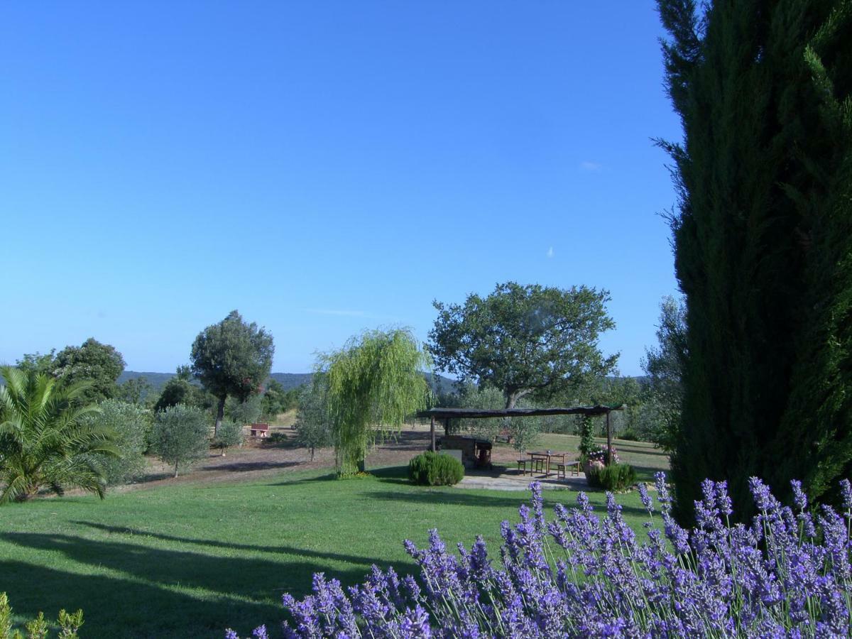Agriturismo Podere San Lorenzo 1866 马萨马里蒂马 外观 照片